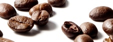 gourmet flavored coffee beans
